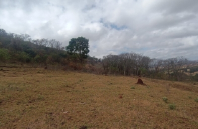 Sítio para venda em Avaré